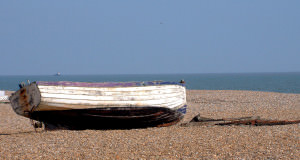 On American Naturalism and Stephen Crane's 'The Open Boat'