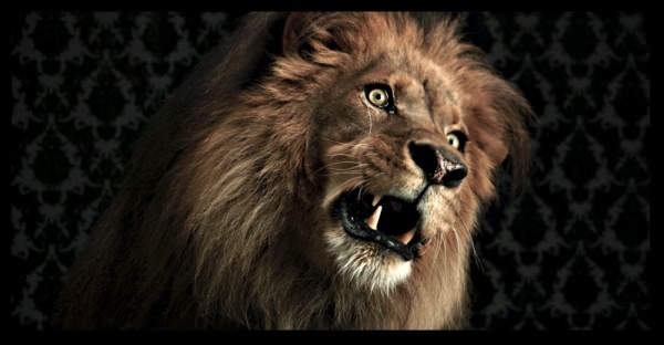 red-scarlet-still-felix-lion