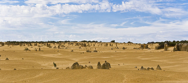 Dust, Heat, and Dirty Lenses: 10 Quick Tips for Filming in the Desert