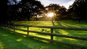 Five Lessons from the Other Side of the Freelance Fence